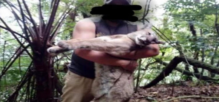 Cazador mata a puma en Hidalgo y lo muestra como trofeo