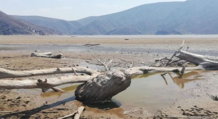 Se extiende sequía en Hidalgo, 56 municipios en condición moderada