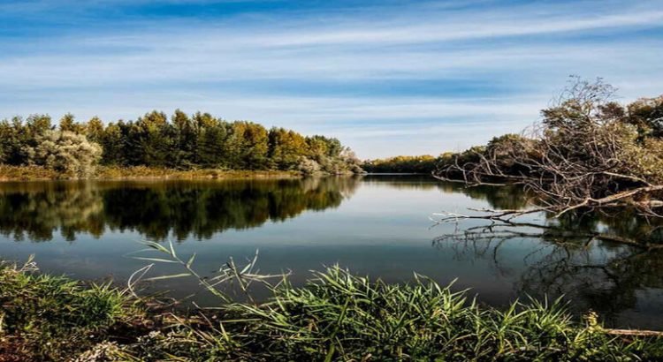 Localizan a niño desaparecido dentro de un canal en Hidalgo