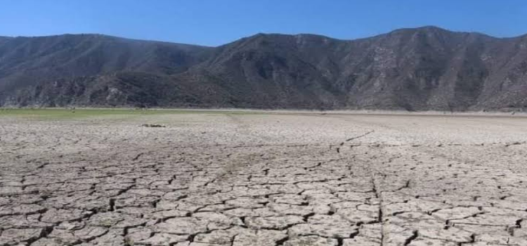 Sequía en todo Hidalgo: Conagua