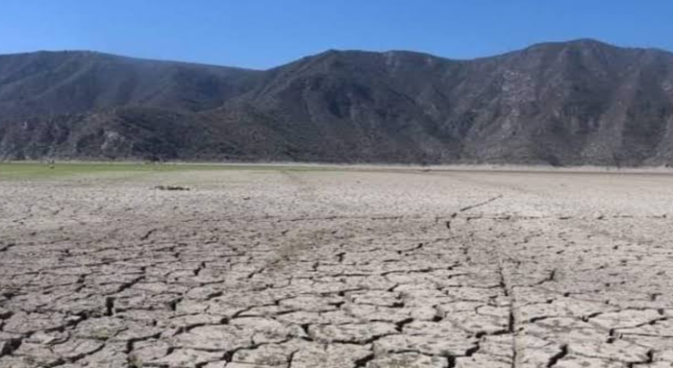 Sequía en todo Hidalgo: Conagua