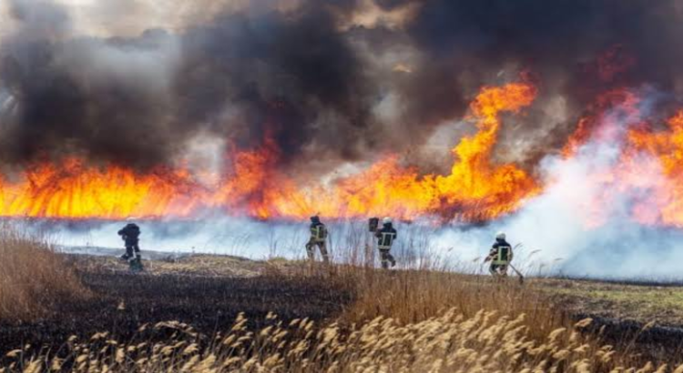 Un incendio diario este mes en Hidalgo