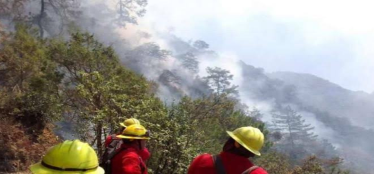 Registra Hidalgo 25 incendios forestales en lo que va del año