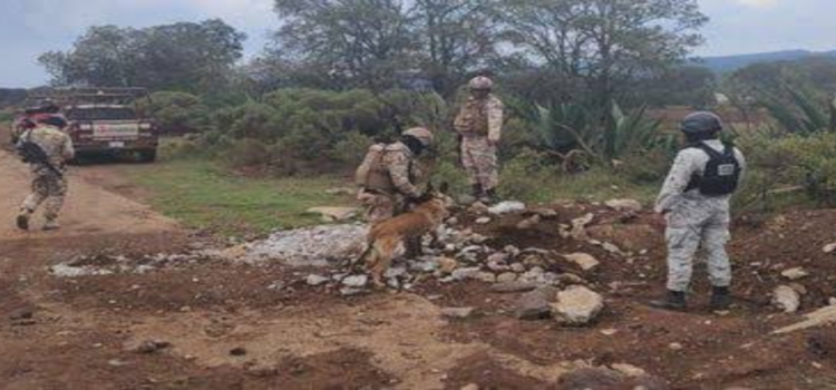 Guardia Nacional localiza 10 tomas de ‘huachicol’ en municipios de Hidalgo