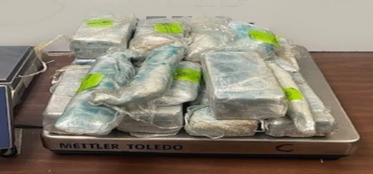 En Hidalgo decomisan más de 11 kilogramos de drogas