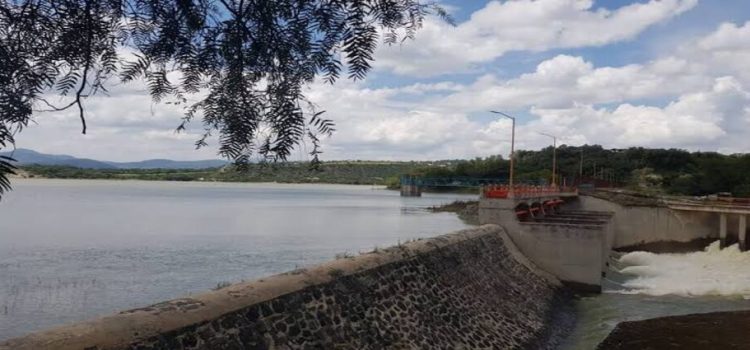 Aumenta 15.5% la producción de peces en Hidalgo