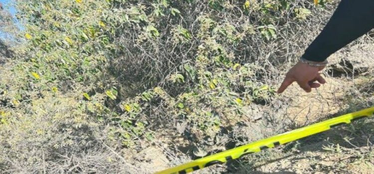 Localizan cuerpo de un hombre devorado por fauna en Hidalgo