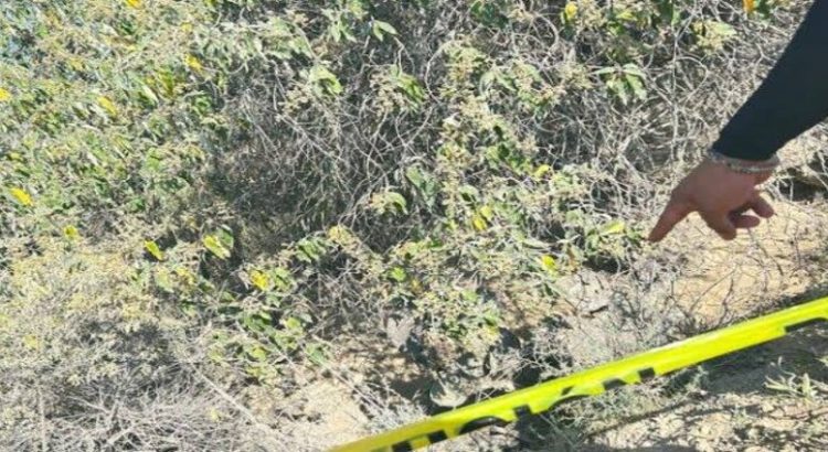 Localizan cuerpo de un hombre devorado por fauna en Hidalgo