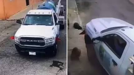 Captan a repartidor de gas atropellando perritos en Pachuca