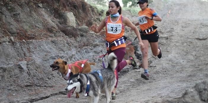 Hidalgo es pionero en canicross, deporte en que canes y humanos se complementan