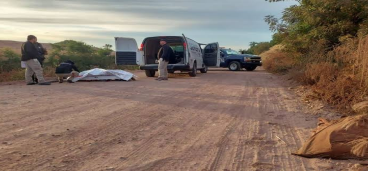 Localizan 9 cadáveres abandonados en 2 vehículos con placas de Hidalgo