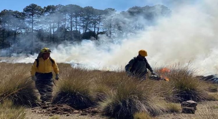 Hidalgo, en alerta amarilla por incendios forestales