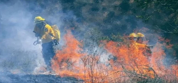 Reportó Hidalgo 8 incendios forestales en primera semana de marzo