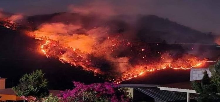 Incendios forestales mantienen en alerta a vecinos y autoridades en Hidalgo
