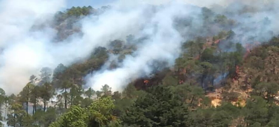 Se mantienen activos 3 incendios forestales en Nicolás Flores, Hidalgo