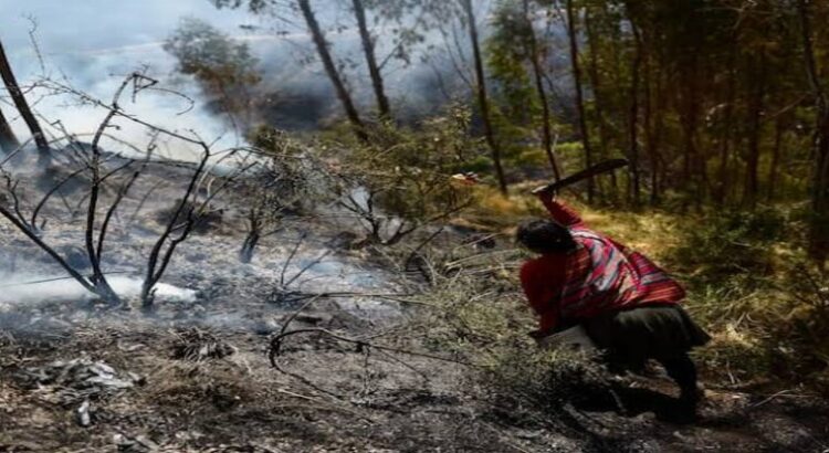 En Hidalgo, sequía ha dificultado sofocación de incendios forestales