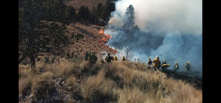 Incendios forestales en Hidalgo dañan más de dos mil hectáreas