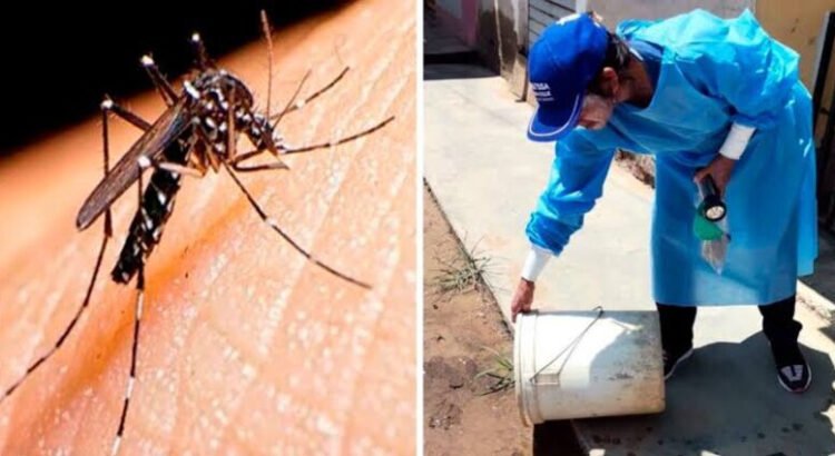 Dengue en Hidalgo va en aumento