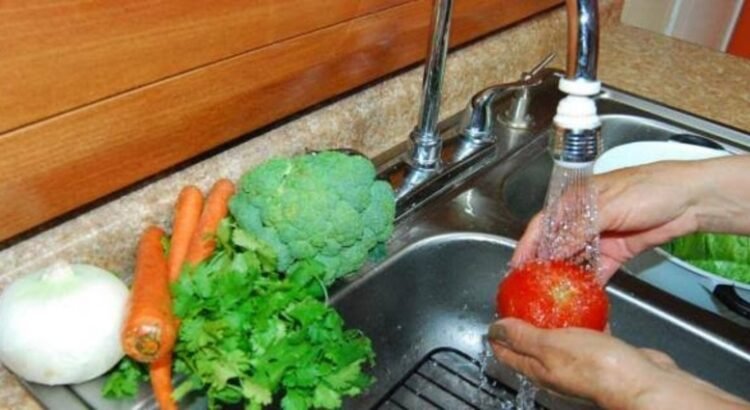 Medidas para prevenir contagios de salmonella en Hidalgo