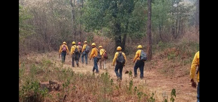 Controlado un 80 % incendio forestal en Hidalgo