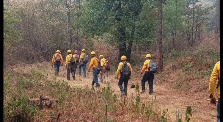 Controlado un 80 % incendio forestal en Hidalgo