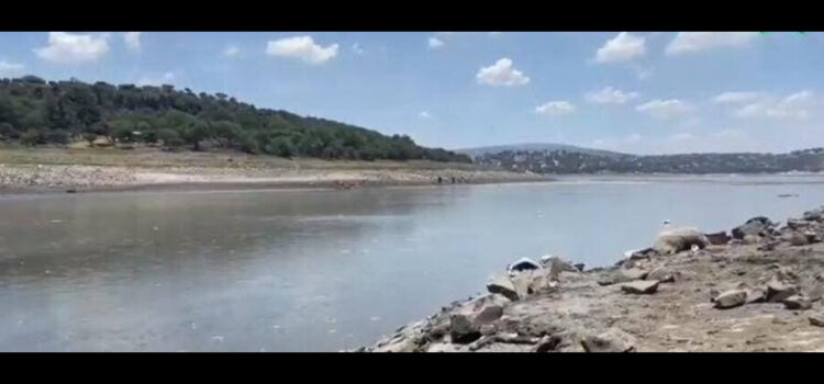 Alerta en Hidalgo: la presa Requena solo tiene 5.2% de almacenamiento de agua; aves y peces han muerto