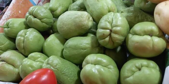 Incrementa precio de chayote en Pachuca, por sequía