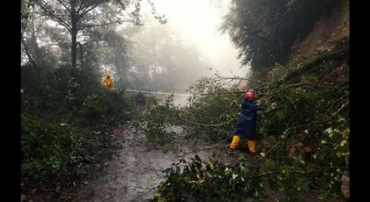 Causará tormenta tropical fuertes lluvias en Hidalgo