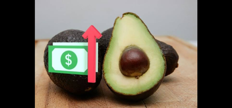 Disminuye consumo de aguacate por inflación