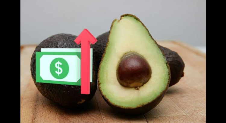 Disminuye consumo de aguacate por inflación