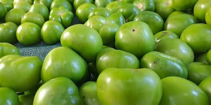 Primero aguacate y cilantro, ahora subirá el tomate en Pachuca