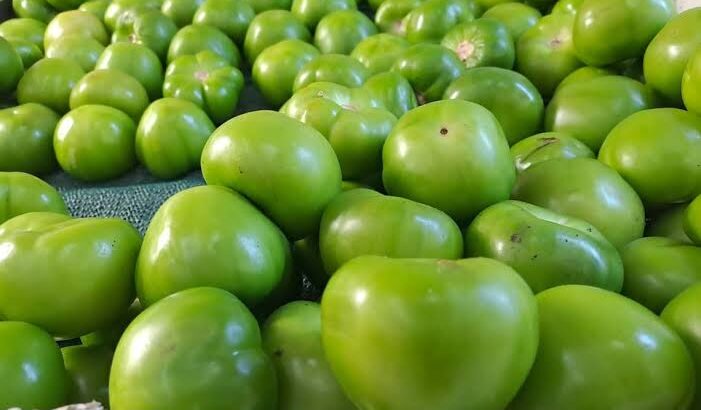 Primero aguacate y cilantro, ahora subirá el tomate en Pachuca