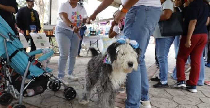 Celebran quinta edición del Perro Fest en Pachuca