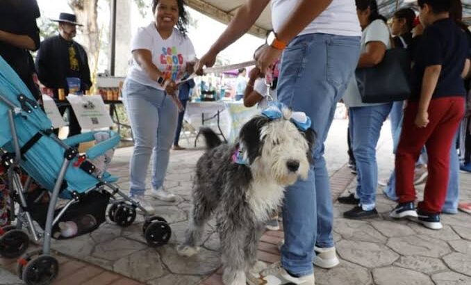 Celebran quinta edición del Perro Fest en Pachuca