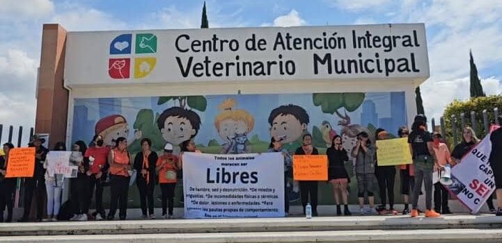 En silencio, activistas protestan contra centro de atención animal de Pachuca