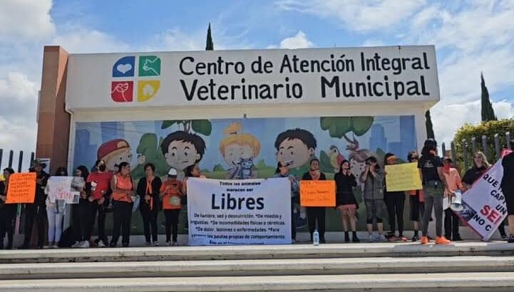 En silencio, activistas protestan contra centro de atención animal de Pachuca