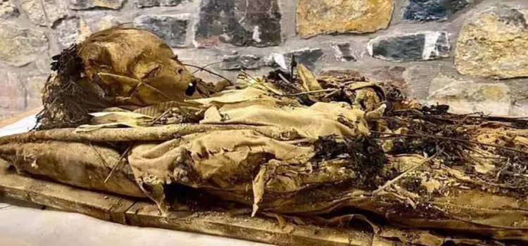 Llegan dos nuevos cuerpos al Museo de Momias de Hidalgo