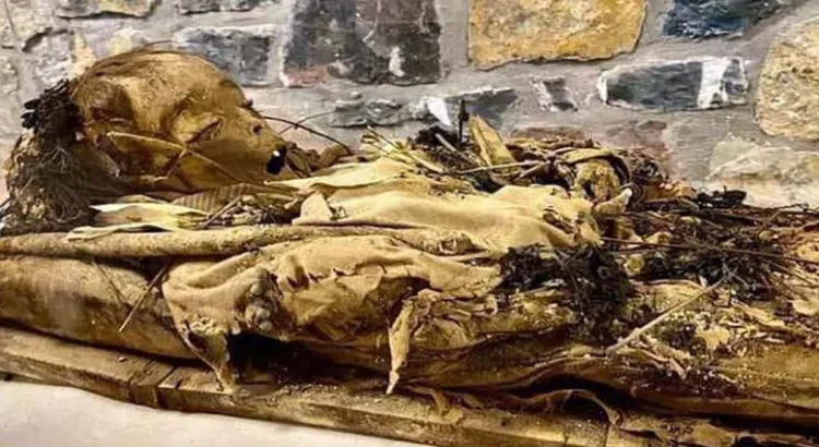 Llegan dos nuevos cuerpos al Museo de Momias de Hidalgo