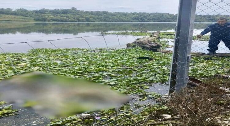 Hallan cadáver de una mujer en presa de Hidalgo