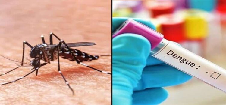 Aumentan hasta el 700 por ciento casos de dengue en Hidalgo