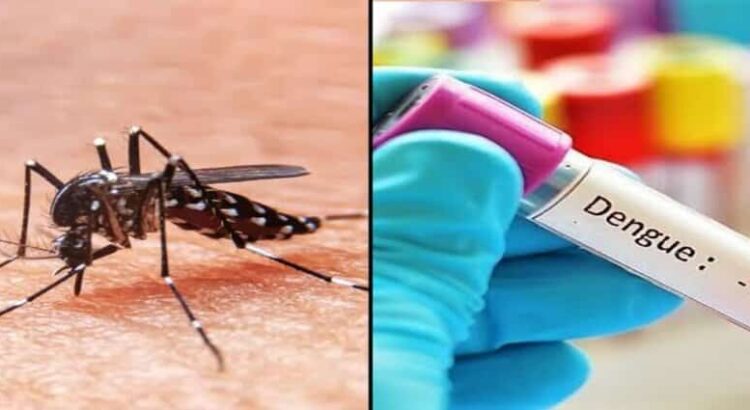 Aumentan hasta el 700 por ciento casos de dengue en Hidalgo