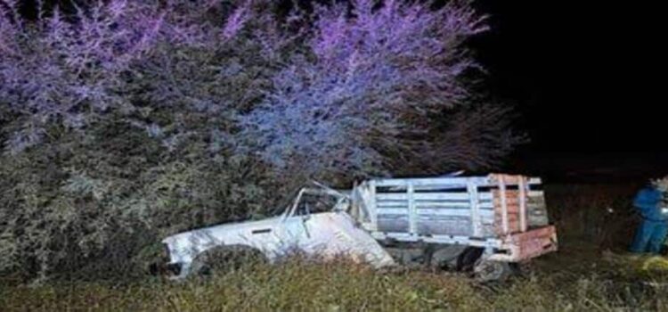 Una mujer sin vida y dos personas más lesionadas en choque contra árbol en Hidalgo