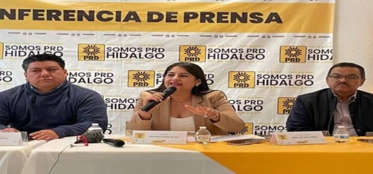 Margarita Ramos se convierte en la primera mujer presidenta del PRD en Hidalgo