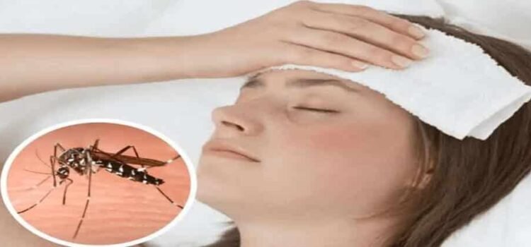 Suman 11 casos de dengue en 2025 en Hidalgo