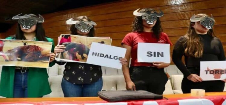 Presentan iniciativa para prohibir las corridas de toros en Hidalgo Presentan iniciativa para prohibir las corridas de toros en Hidalgo