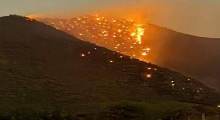 Hidalgo registra 93 incendios forestales en los últimos 8 días