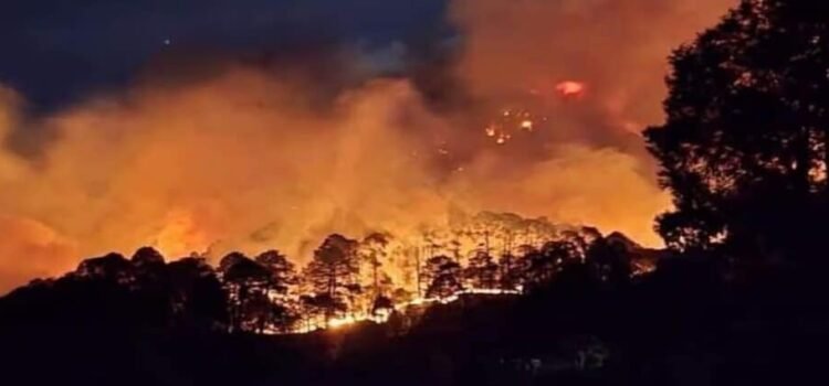 Incendios forestales en Hidalgo amenazan municipios de alto riego; afirman estar vinculados con tala ilegal