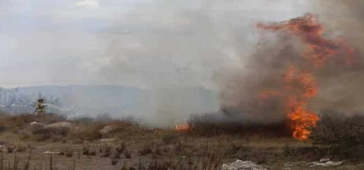 Hidalgo registra cuatro incendios forestales en las últimas 36 horas