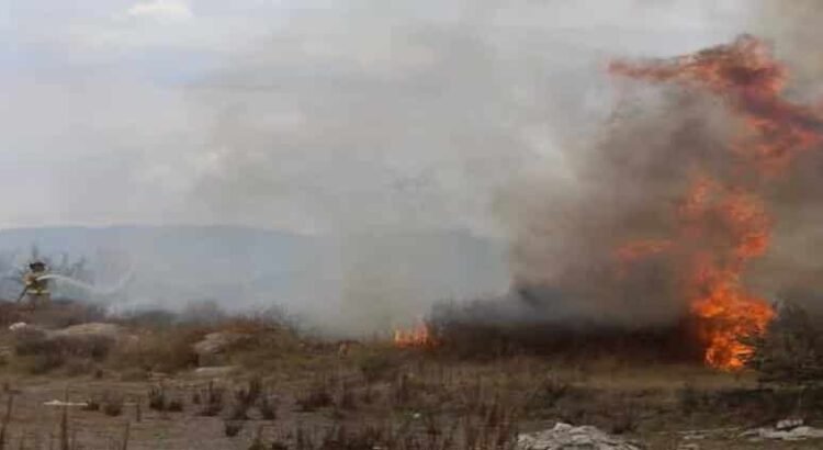 Hidalgo registra cuatro incendios forestales en las últimas 36 horas