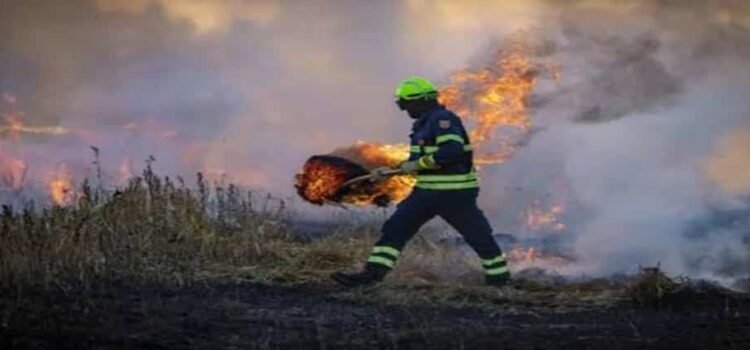 Hidalgo, séptimo estado con mayor colaboración en la extinción de incendios forestales